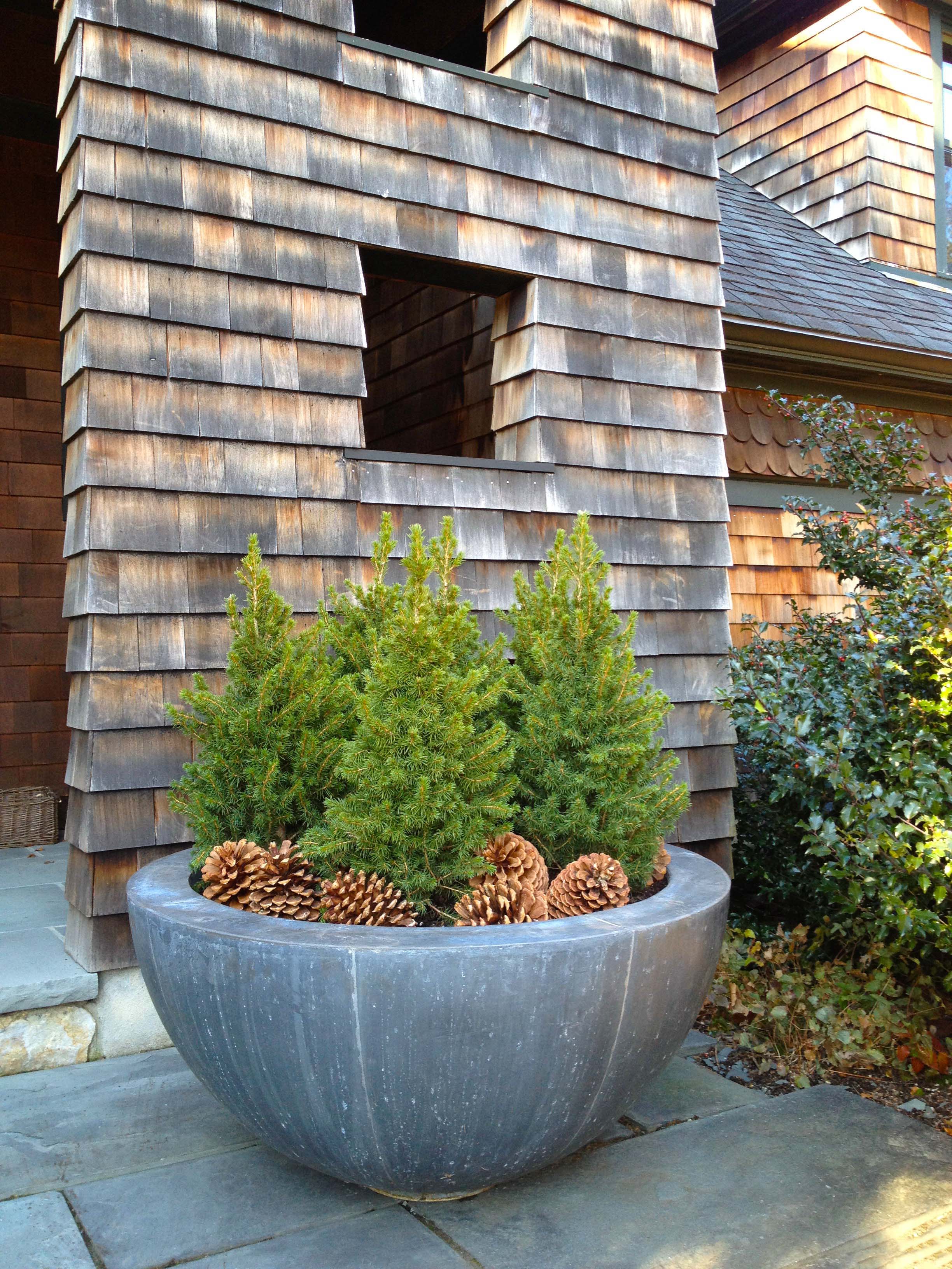 Winter Container Plantings | Holidays At Home | Winston Flowers